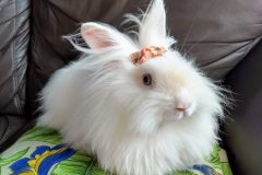 IMG_20190425_081615451_HDR