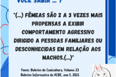Voce-sabia-1-