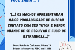 Voce-sabia